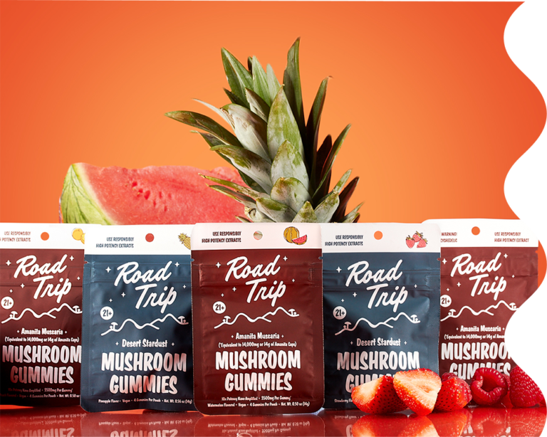 Road trip best mushroom gummies